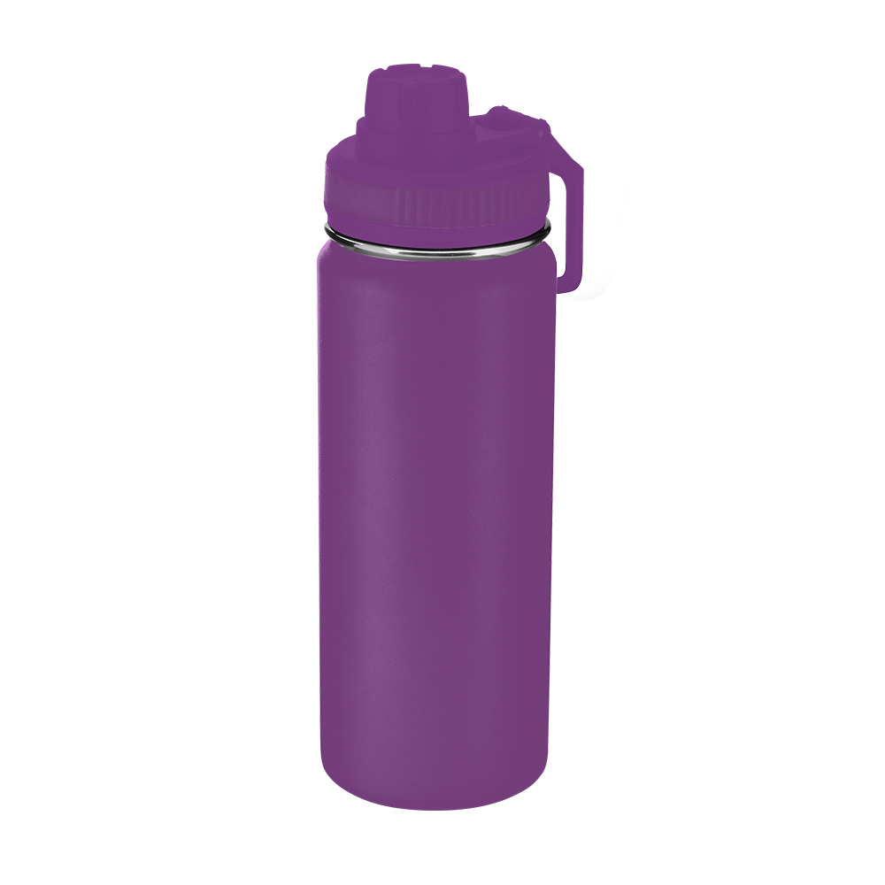 Garrafa Aço Inox — cor Roxo